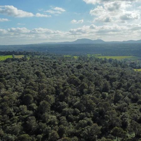 Magnifica Villa Tranquila En El Centro De Mallorca Biniali  Eksteriør billede