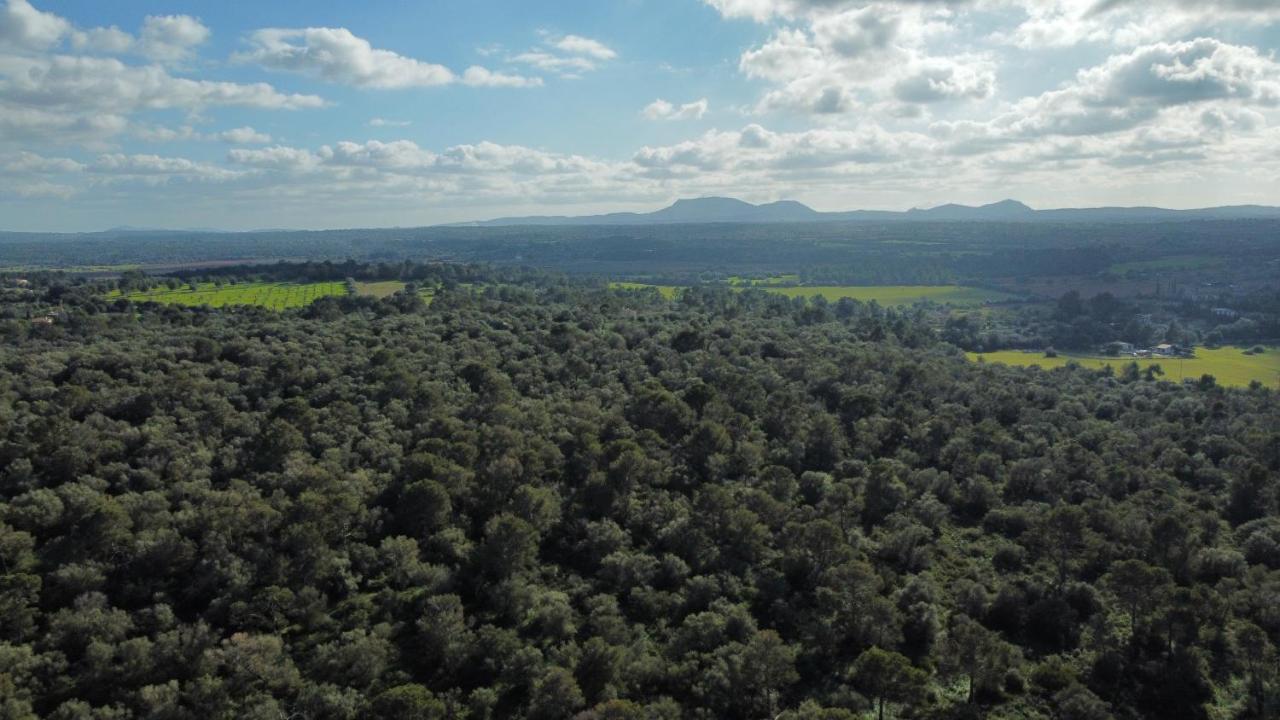 Magnifica Villa Tranquila En El Centro De Mallorca Biniali  Eksteriør billede